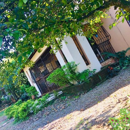 Bielka'S Country House Guest House La Colonia Exterior photo